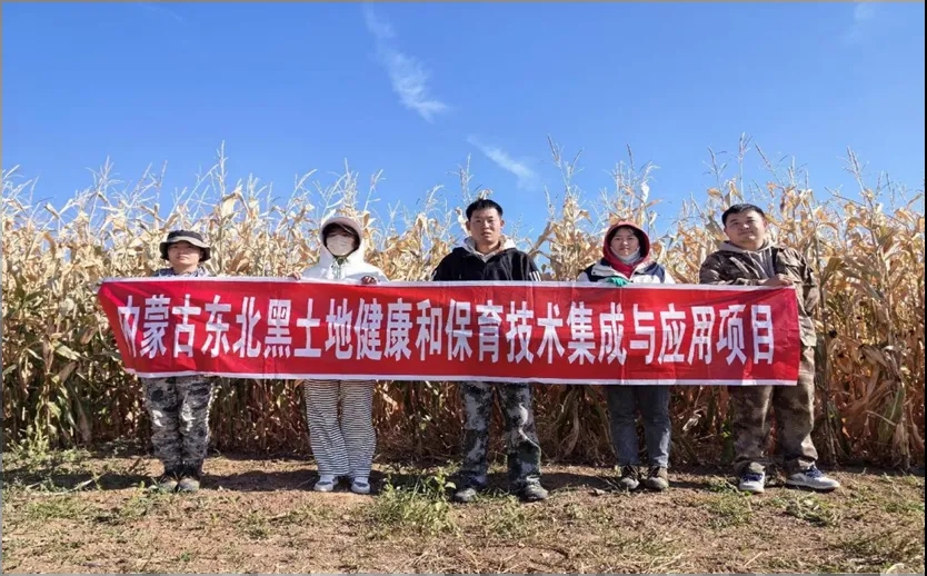 【科技创新成果巡礼】兴安盟黑土地保育技术取得新突破 助力农业绿色高质量发展