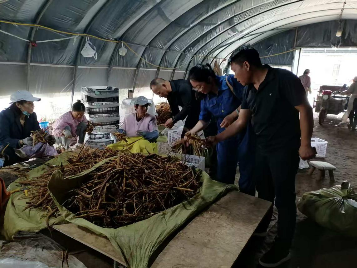 深融广拓·赋能产业——我盟科技交流合作成果丰硕